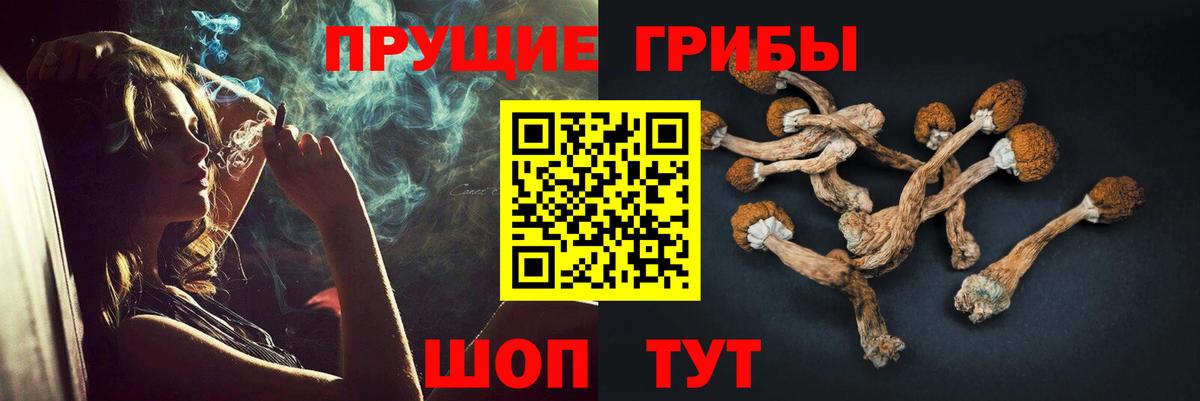 Гай  Псилоцибиновые грибы прущие грибы  наркотики  Вход с VPN  Галлюциногенные грибы Cubensis 